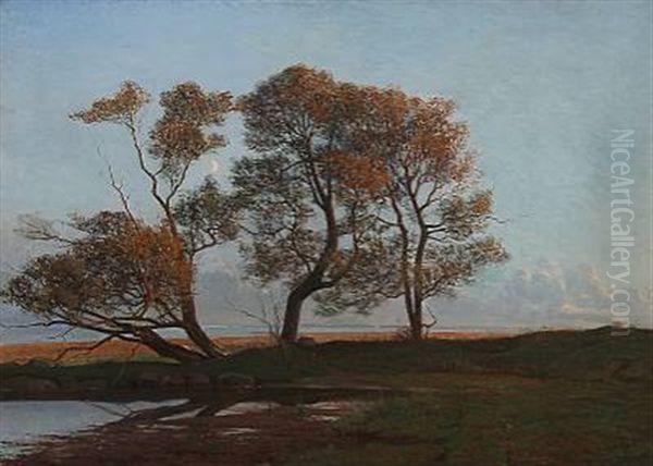 Late Summer Evening Near A Coast In The Light Of The Half-moon Oil Painting by Karl Harald Alfred Broge