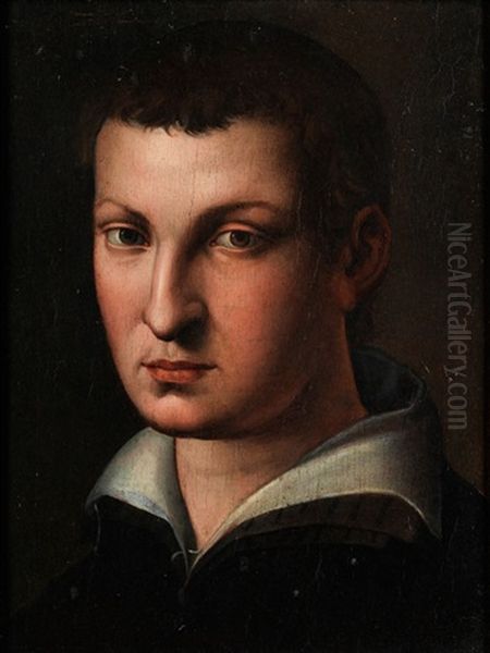 Kopf Eines Junglings Oil Painting by  Bronzino