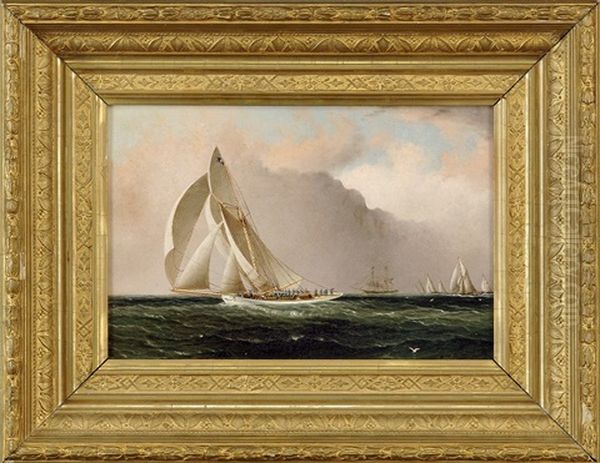The "volunteer" And "thistle" Returning From Sandy Hook, America's Cup Race Oil Painting by James Edward Buttersworth