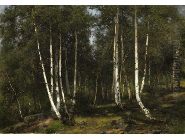 Birkenwald Oil Painting by Jean-Baptiste-Arthur Calame