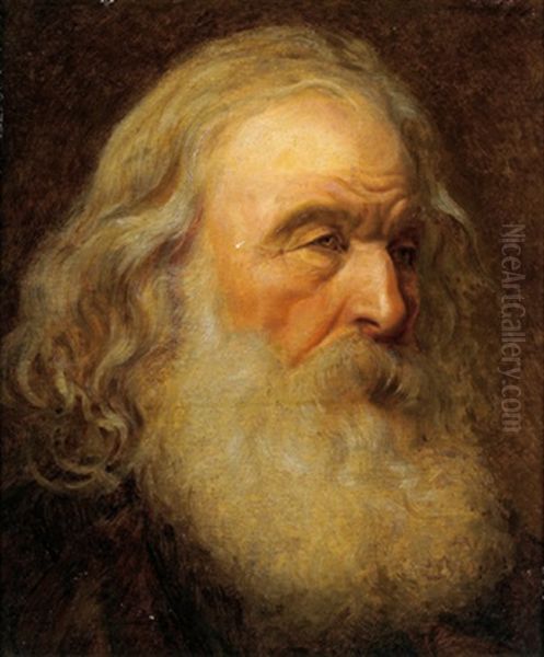 Kopf Eines Bartigen Mannes Oil Painting by Hans (Johann von Strasiripka) Canon
