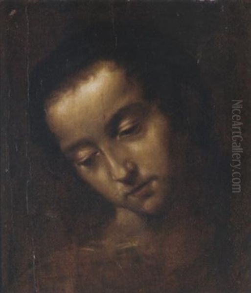 The Head Of A Woman Oil Painting by Lodovico Cardi Cigoli