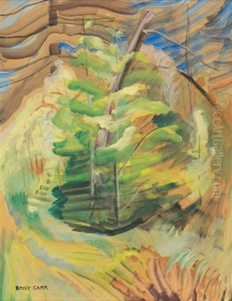 Spring Oil Painting by Emily M. Carr