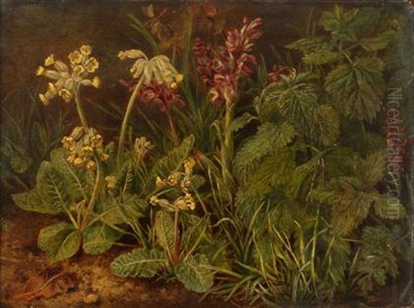 Laurestinus Oil Painting by Marian Chase