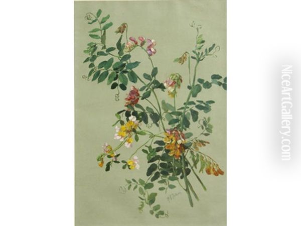Bur Clover (pea Family); Hedge, Nettle And Lily (pair) Oil Painting by Alice Brown Chittenden