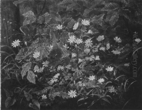 Waldstilleben Mit Buchen- Und Eichenzweigen Oil Painting by Anthonie Eleonore (Anthonore) Christensen