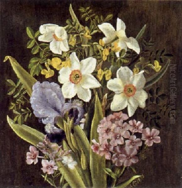 Narzissen, Lilien Und St. Pauli Oil Painting by Anthonie, Anthonore Christensen