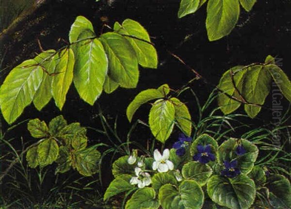 Skovbund Med Violer Og Bogegrene Oil Painting by Anthonie Eleonore (Anthonore) Christensen