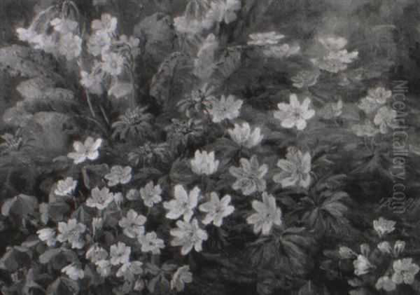 Blomstrende Anemoner Og Kodriver Oil Painting by Anthonie, Anthonore Christensen