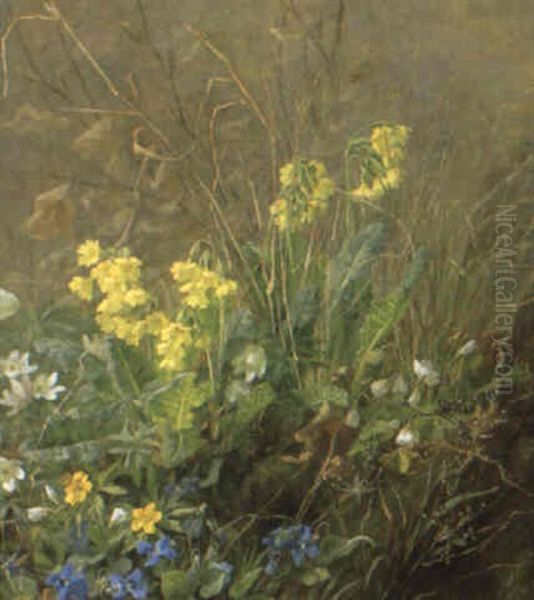 Skovbund Med Vilde Blomster Oil Painting by Anthonie Eleonore (Anthonore) Christensen