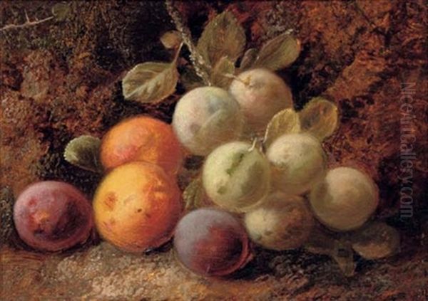 A Bird's Nest And Hawthorn Blossom (+ Plums And Greengages; Pair) Oil Painting by George Clare