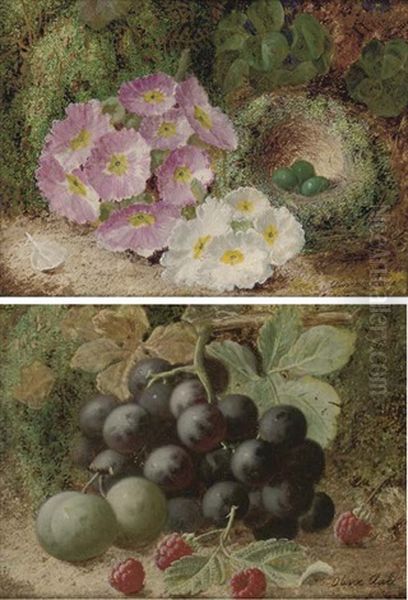 Grapes, Plums And Raspberries On A Mossy Bank (+ A Bird's Nest And Eggs With Flowers On A Mossy Bank; Pair) Oil Painting by Oliver Clare