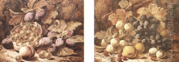 Still Lifes With Grapes, Plums And Other Fruit Oil Painting by Oliver Clare