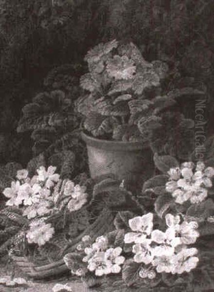 Still Life Of Primroses, Primula And Apple Blossom Oil Painting by Oliver Clare