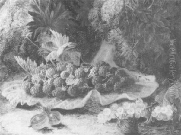 Raspberries By A Strawberry, Whitecurrants And              Gooseberries On A Mossy Bank Oil Painting by Oliver Clare