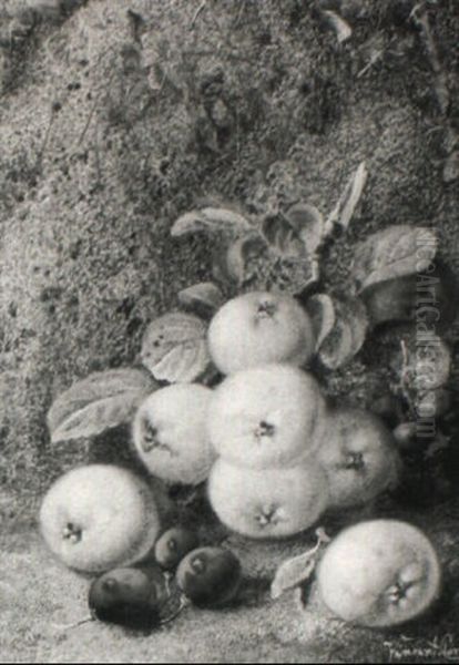 Still Life With Apples And Grapes On A Mossy Bank Oil Painting by Vincent Clare