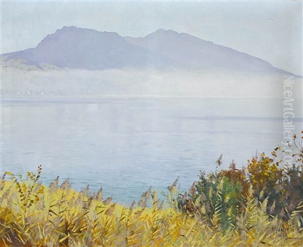Der Hohgant Am Thunersee Oil Painting by Plinio Colombi