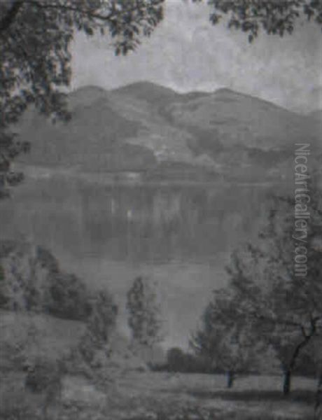Fruhlingslandschaft Am Thunersee Oil Painting by Plinio Colombi