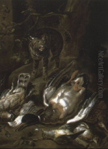 Cat On A Rocky Bank With A Dead Duck And Other Dead Birds Oil Painting by David de Coninck