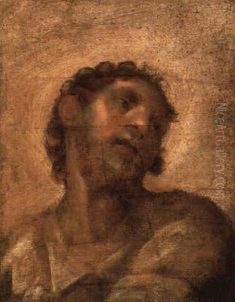 A Man, Head And Shoulders Oil Painting by  Correggio