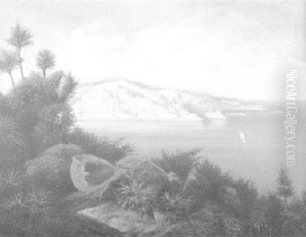 Cinque Terra Bei Genua Oil Painting by Hermann David Salomon Corrodi