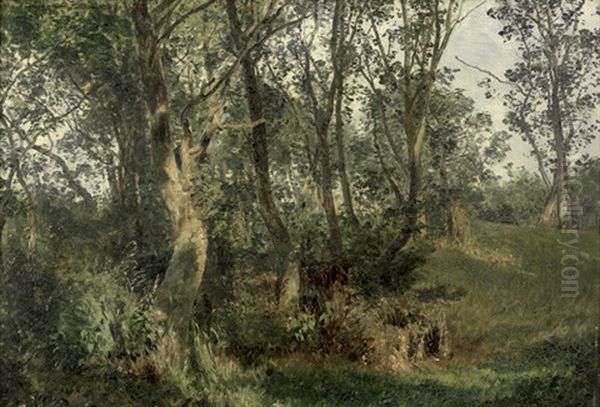 Lichtdurchfluteter Waldpfad Oil Painting by Janus la Cour