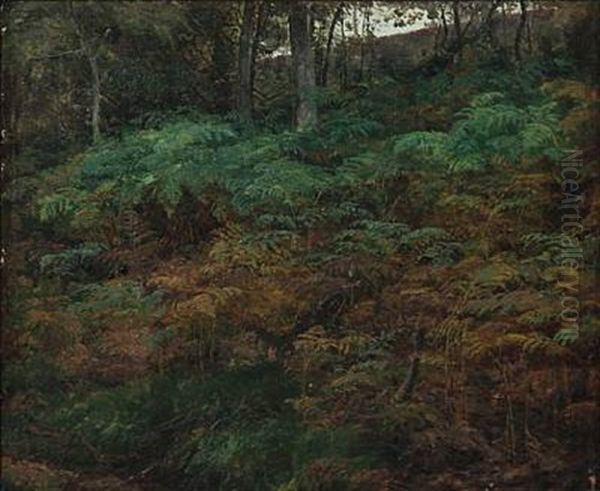 Ferns On The Forest Floor Oil Painting by Janus la Cour