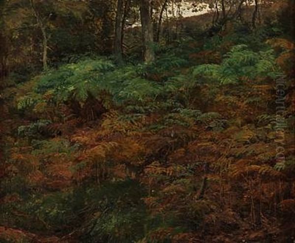 Ferns On The Forest Floor Oil Painting by Janus la Cour