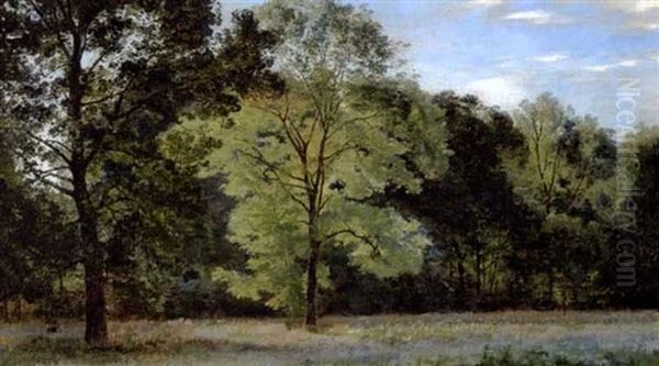 Aben Slette Med Hoje Lovtraeer Oil Painting by Janus la Cour