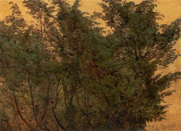 Traestudie Oil Painting by Janus Andreas Bartholin La Cour