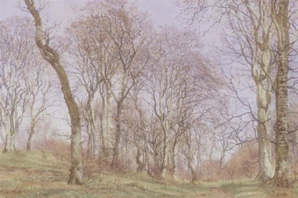 Forarsskov Med Blomstrene Skovbund Oil Painting by Janus la Cour