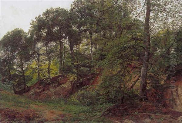Skovparti, Sommer Oil Painting by Janus la Cour