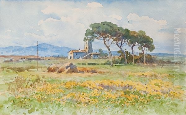 Veduta Di Casale Nella Campagna Romana Oil Painting by Filippo Anivitti