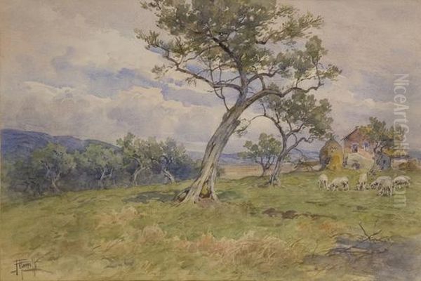 Paesaggio Di Campagna Con Ulivi, Casa Colonica E Pecore Oil Painting by Filippo Anivitti