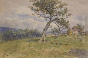 Paesaggio Di Campagna Con Ulivi, Casa Colonica E Pecore