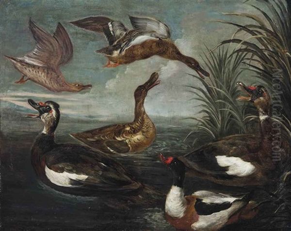 Ducks In A Pond Oil Painting by Marmaduke Cradock