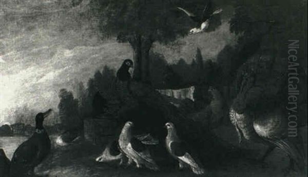Exotic Birds In A Landscape Oil Painting by Marmaduke Cradock