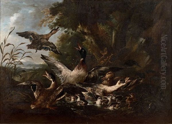 Paysage Avec Canards Et Canetons Effarouches Oil Painting by Angelo Maria (Crivellone) Crivelli