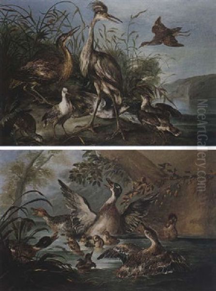 Mallard And Their Ducklings In A River Landscape Oil Painting by Angelo Maria (Crivellone) Crivelli