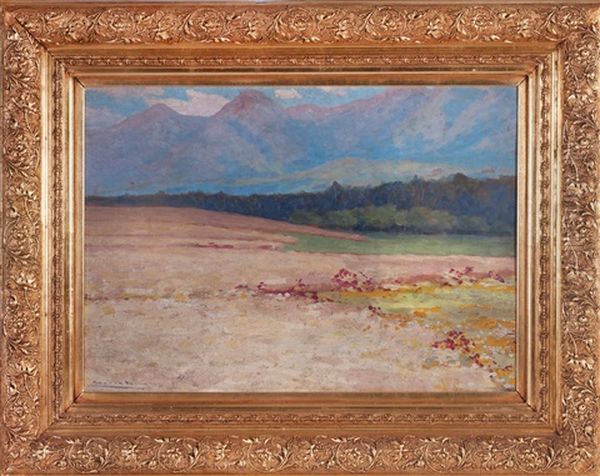 Small Fields Below The Tatra Mountains Oil Painting by L鈥榰dovit Csordak