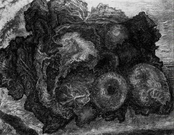 Still Life With Apples And Pears Oil Painting by Vera Cunningham