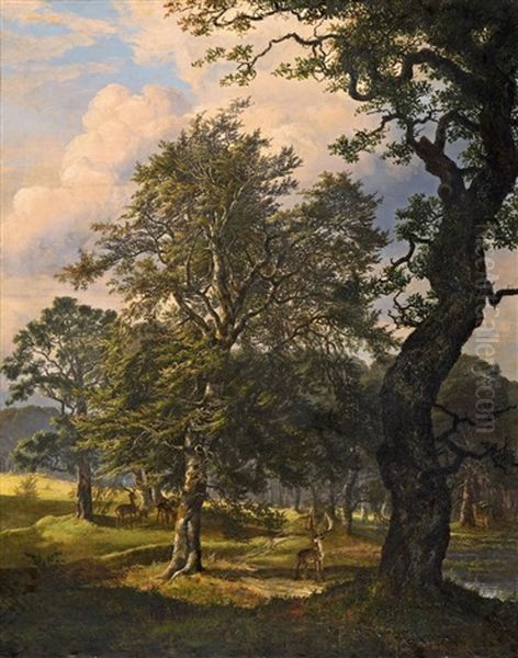 Der Hirschpark Dyrehaven Bei Kopenhagen Oil Painting by Johan Christian Dahl