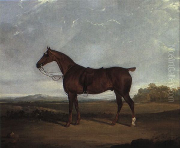 A Saddled Bay Hunter In A Landscape Oil Painting by David (of York) Dalby