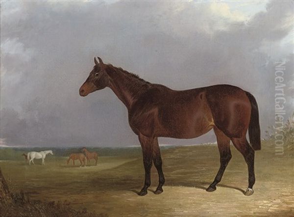Nama, A Landscape With Other Horses Beyond Oil Painting by John Dalby