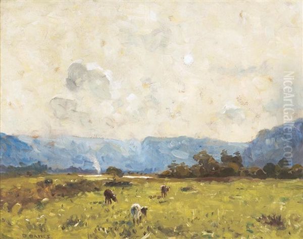 Cows Grazing Oil Painting by David Davies