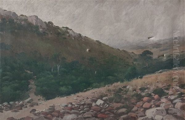 Cerro Empedrado Oil Painting by Carlos Maria De Santiago