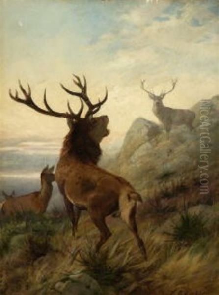 Der Konkurrent. Zwei Hirsche Mit Hirschkuhen In Felsiger Landschaft Oil Painting by Carl Friedrich Deiker