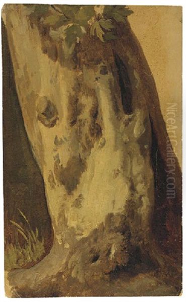 Un Tronc De Platane Oil Painting by Simon-Joseph-Alexandre Clement Denis