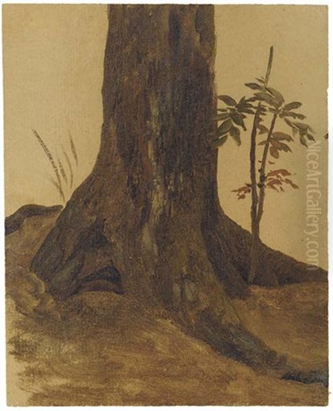 Le Pied D'un Chene Vert Oil Painting by Simon-Joseph-Alexandre Clement Denis
