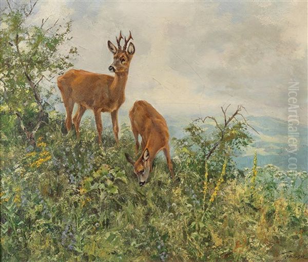 Red Deer On The Mountainside In Summer Oil Painting by Erich Dichtl